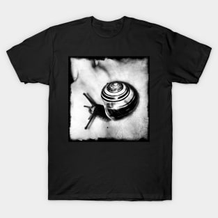 Snail T-Shirt